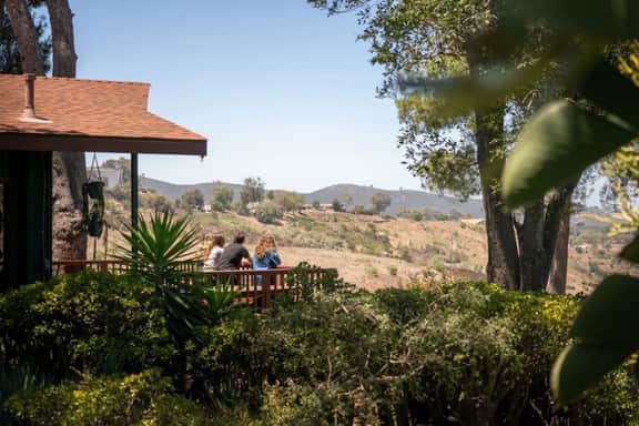 Victoria Ranch: Best Cabin Experience with Views!